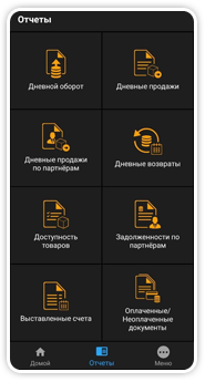 Microinvest Handy - Отчет